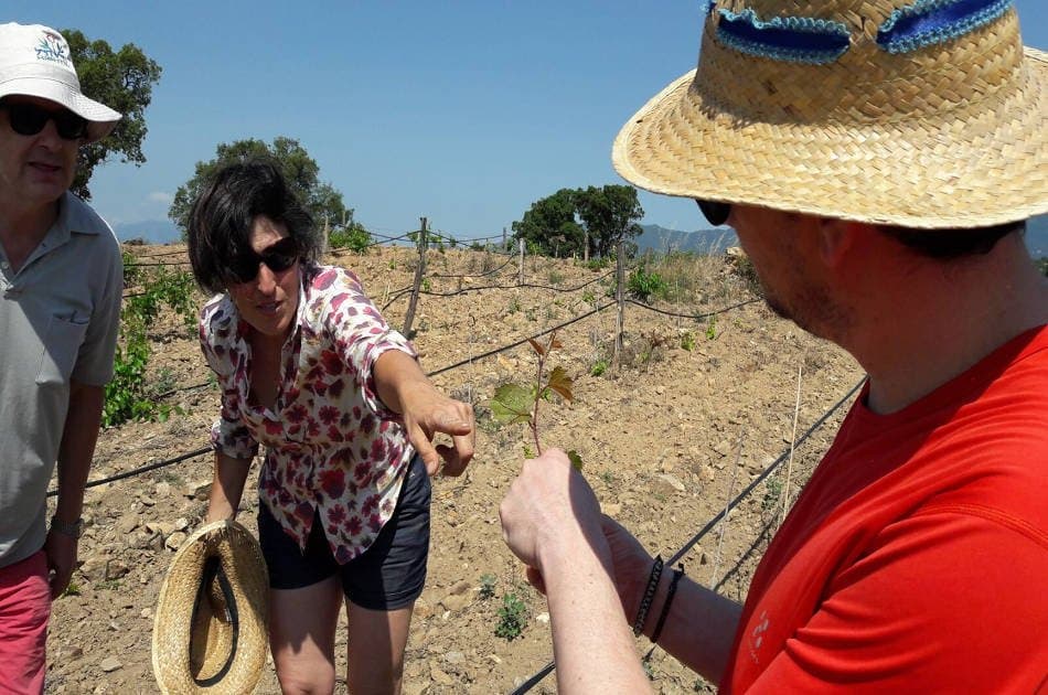 Natural Wine Tour in the Empordà Region from Barcelona - Photo 6
