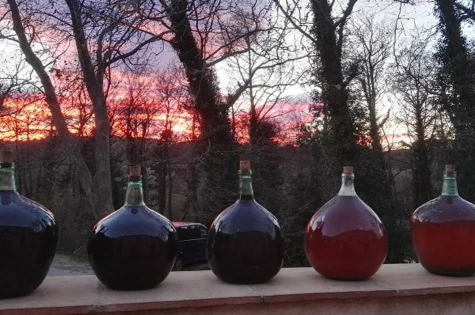 Natural Wine Tour in the Empordà Region from Barcelona - Photo 2
