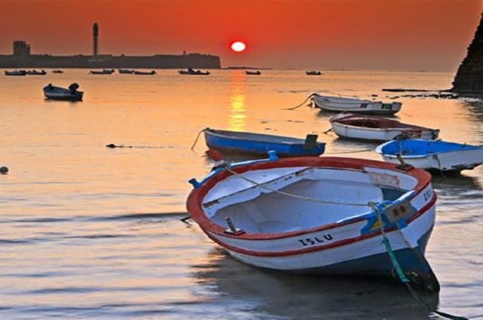 Private Cadiz Day Tour Bespoke From Seville - Photo 3