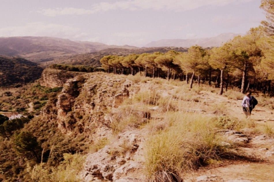 Private Ronda Day Tour From Seville - Photo 4
