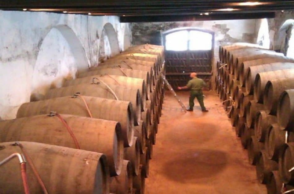 Semi Private Jerez Tour From Seville - Photo 5