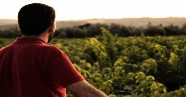 Semi Private Jerez Tour From Seville - Photo 1