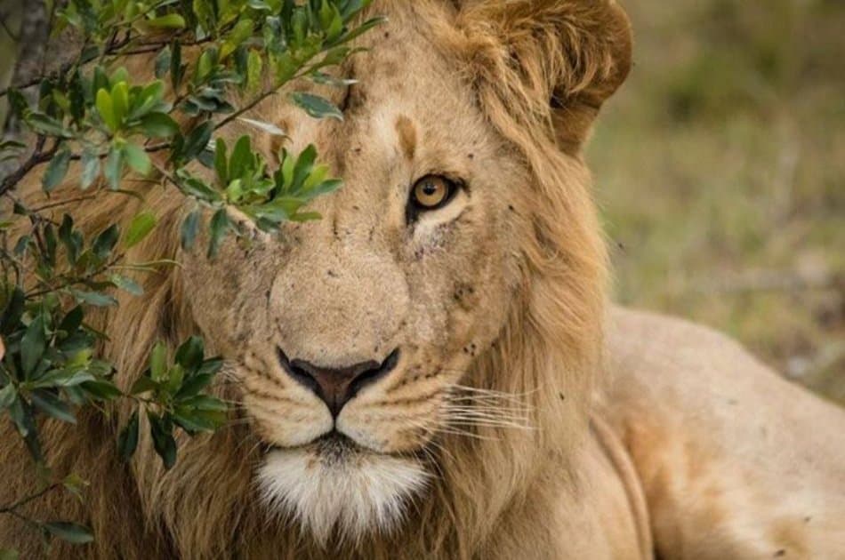 15 Day Family Fun Adventure Safari - Photo 2