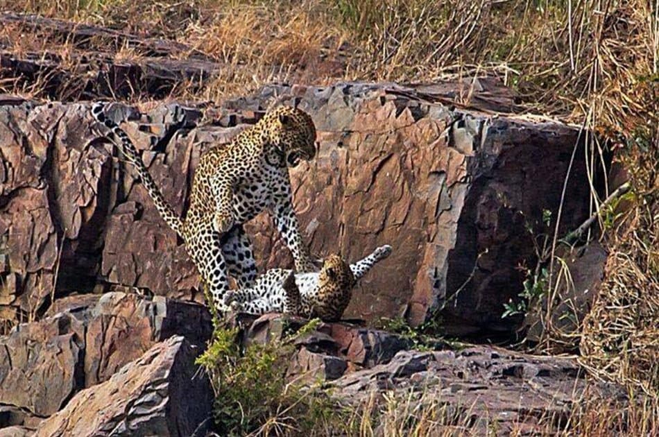 2 Days Safari Lake Manyara National Park/Ngorongoro Crater - Photo 7