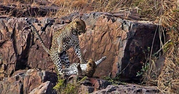 2 Days Safari Lake Manyara National Park/Ngorongoro Crater - Photo 1