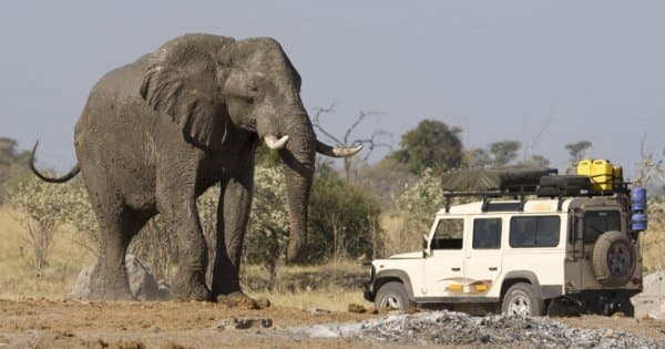 4 Day Camping Safari Group Join in Tanzania - Photo 1