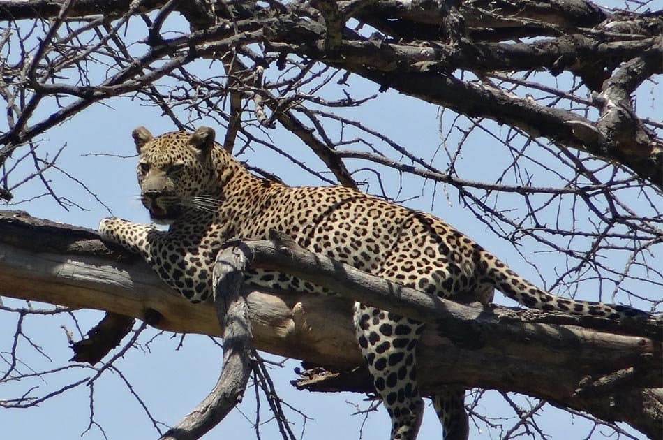 4 Days from Masai Mara Kenya Via Isebania Border/Serengeti/Ngorongoro/Arusha - Photo 7