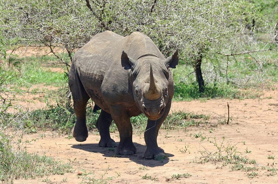 4 Days Safari Lake Manyara/Serengeti National Park/Ngorongoro Crater - Photo 7