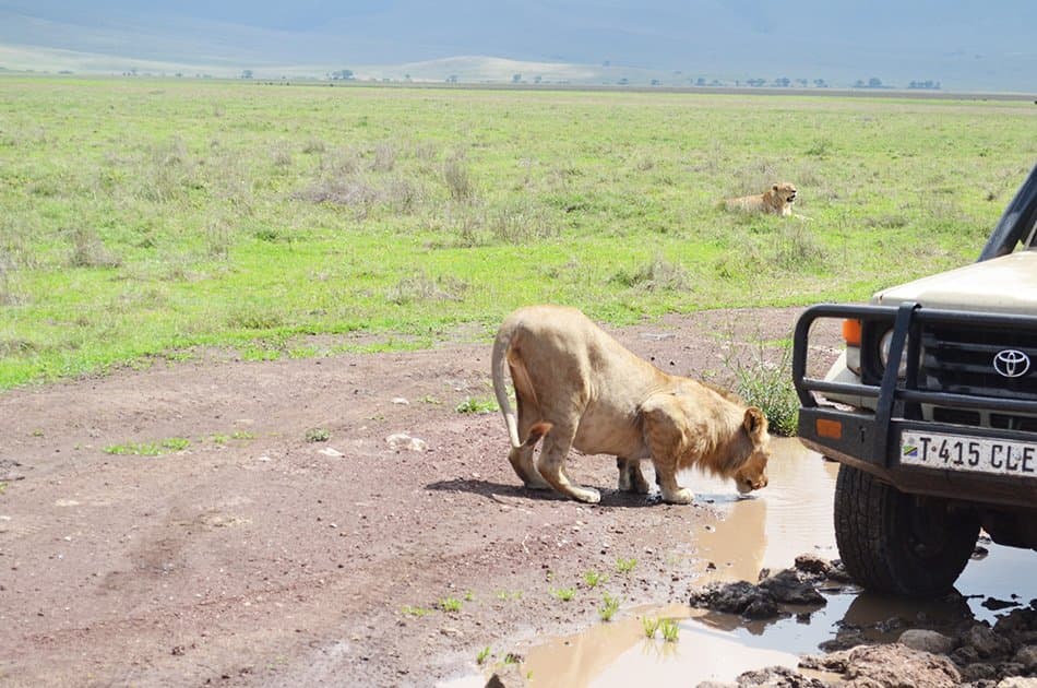 5 Day Natural Wonders of Africa Safari - Photo 9