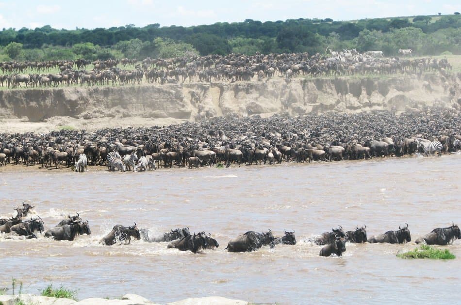 5 Day Natural Wonders of Africa Safari - Photo 2