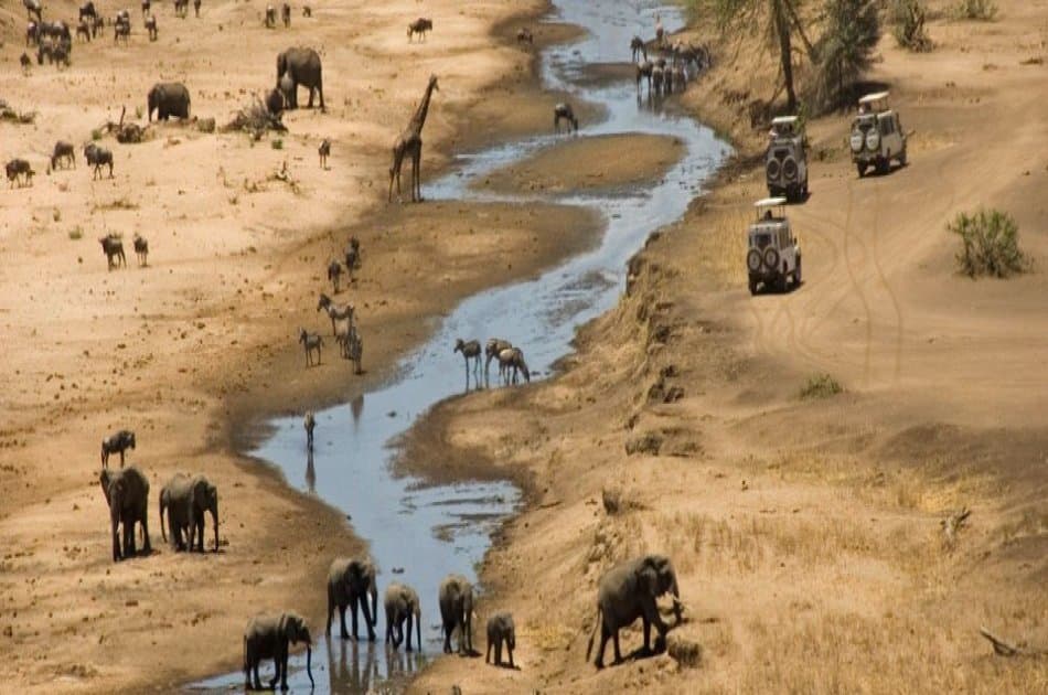 6 Days / 5 Nights in Tanzania - Culture and Sightseeing - Photo 3