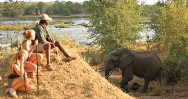 6 Days / 5 Nights in Tanzania - Culture and Sightseeing - Photo 1