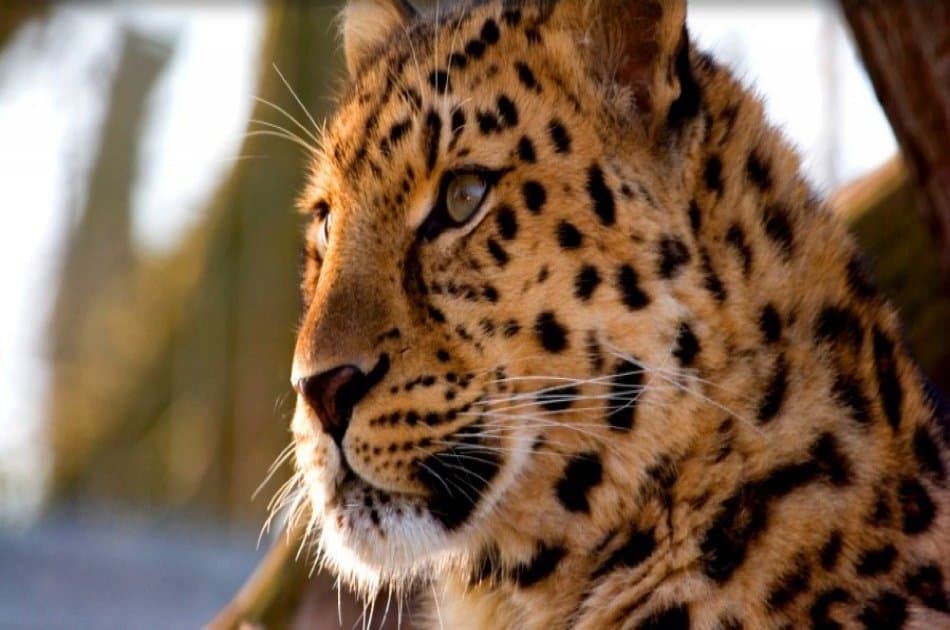 6 Days / 5 Nights in Tanzania - Culture and Sightseeing - Photo 2