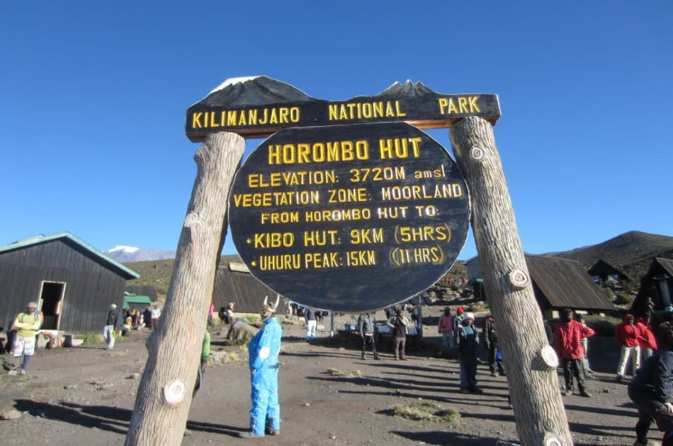 6 Days Kilimanjaro Trekking via Marangu Route + 2 Nights Hotel Stay - Photo 10