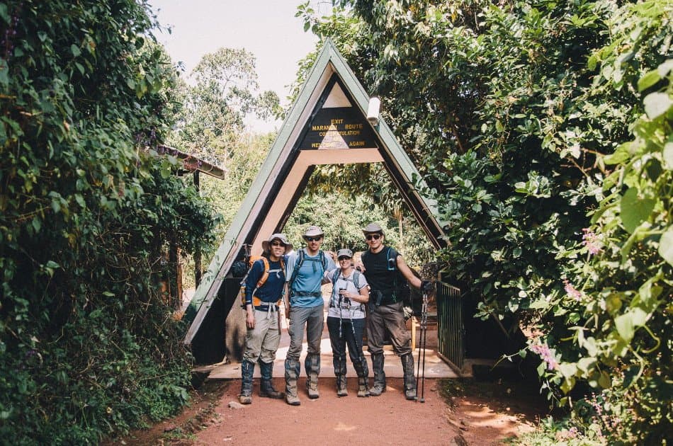 6 Days Kilimanjaro Trekking via Marangu Route + 2 Nights Hotel Stay - Photo 15