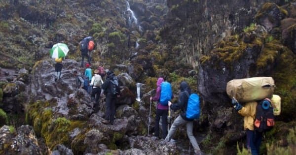 6 Days Mount Kilimanjaro Trekking via Machame Route 2 Nights Hotel Stay - Photo 1