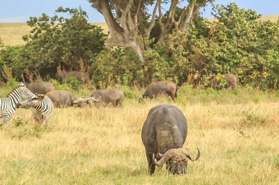 7 Day Tanzania Family Safaris - Photo 2