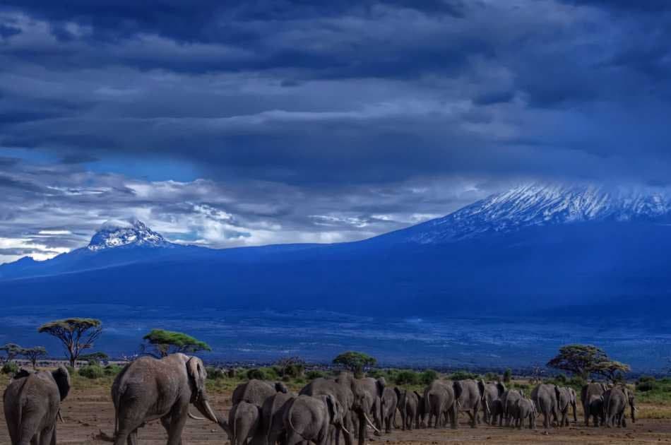 7 Day Tanzania Family Safaris - Photo 6