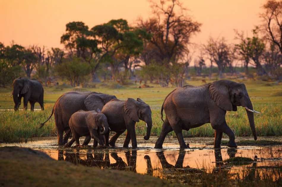 7 Day Tanzania Family Safaris - Photo 7