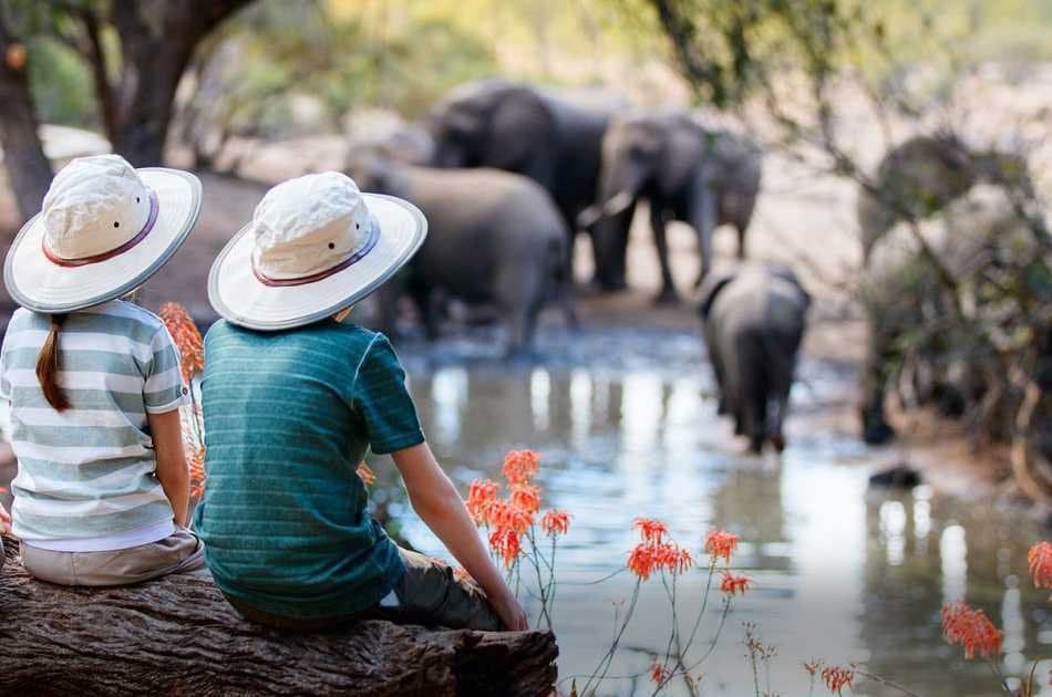 7 Day Tanzania Family Safaris - Photo 8