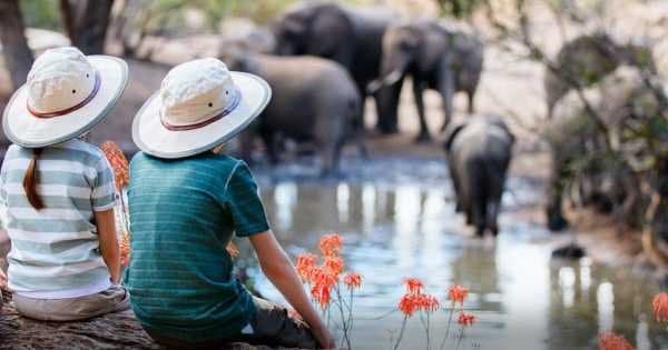 7 Day Tanzania Family Safaris - Photo 1