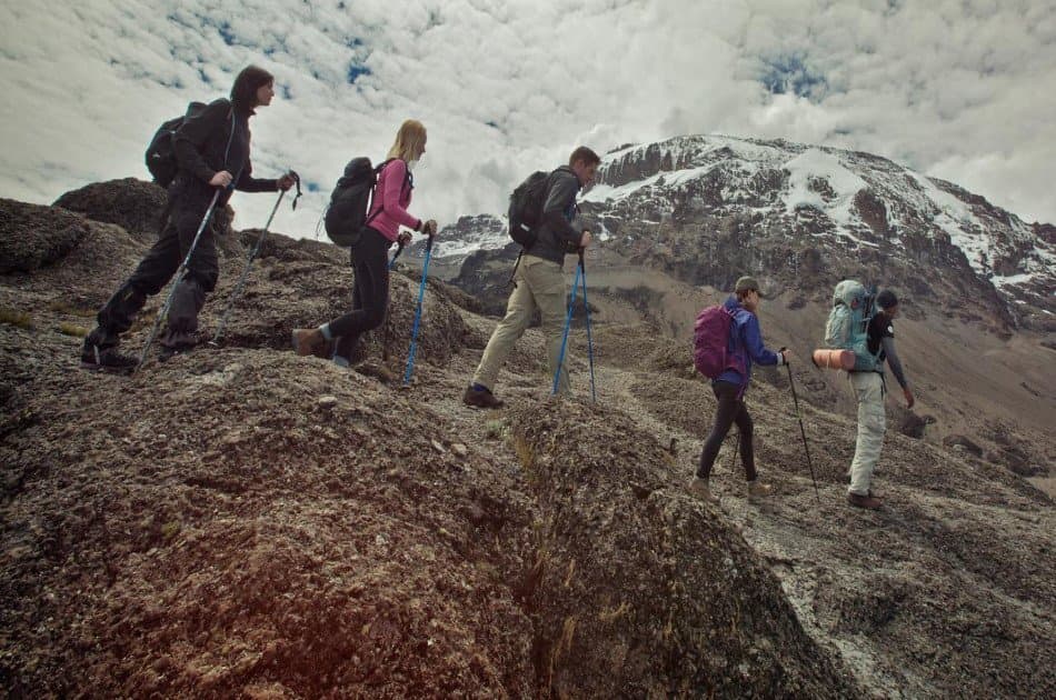 7 Days Kilimanjaro Trekking via Lemosho Route + 2 Nights Hotel Stay - Photo 7