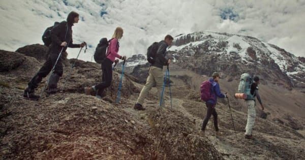 7 Days Kilimanjaro Trekking via Lemosho Route + 2 Nights Hotel Stay - Photo 1