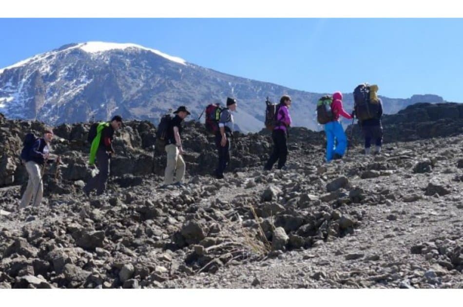 7 Days Kilimanjaro Trekking via Machame Route + 2 Nights Hotel Stay - Photo 7