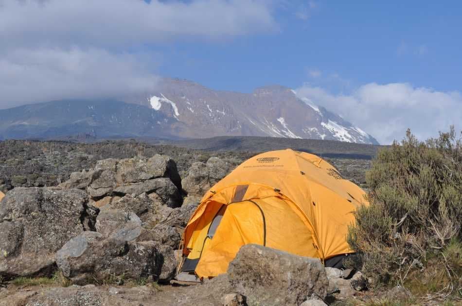 7 Days Machame Route Kilimanjaro Trekking - Photo 2