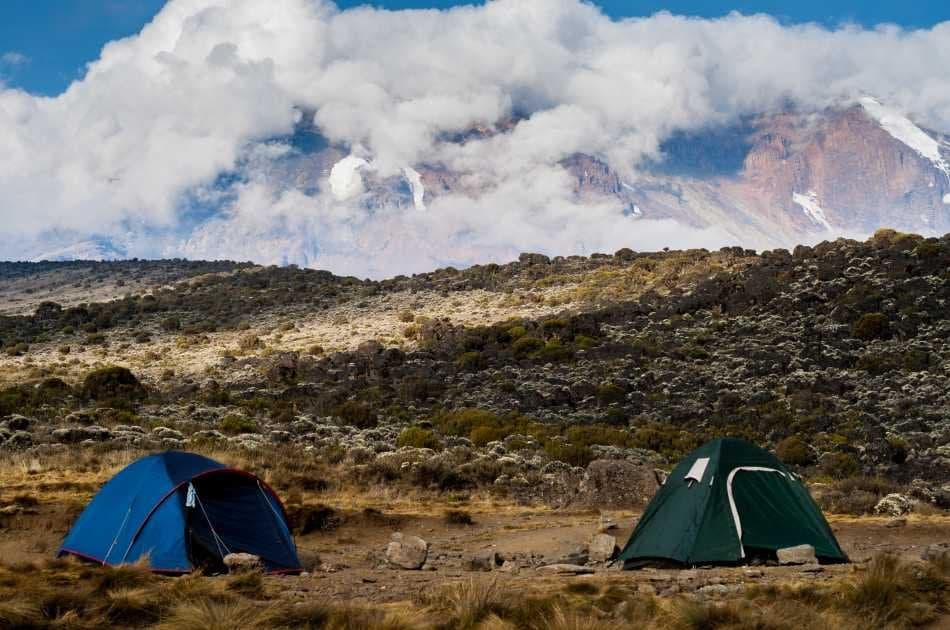 7 Days Machame Route Kilimanjaro Trekking - Photo 3