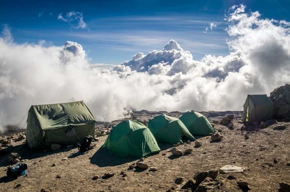 7 Days Machame Route Kilimanjaro Trekking - Photo 4
