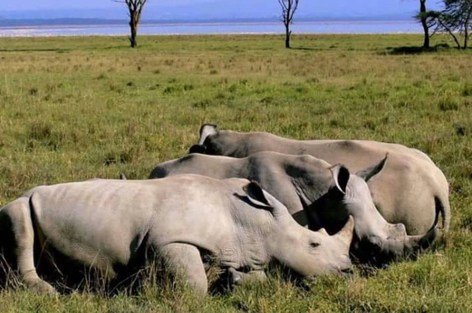 8-Days Authentic Small Group Tanzania Safari - Photo 4
