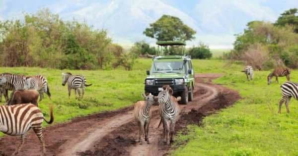 8-Days Authentic Small Group Tanzania Safari - Photo 1
