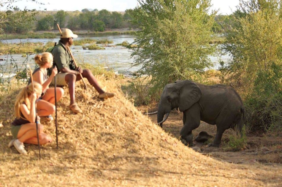 Kenya & Tanzania Safari Adventure - 11 Days - Photo 4