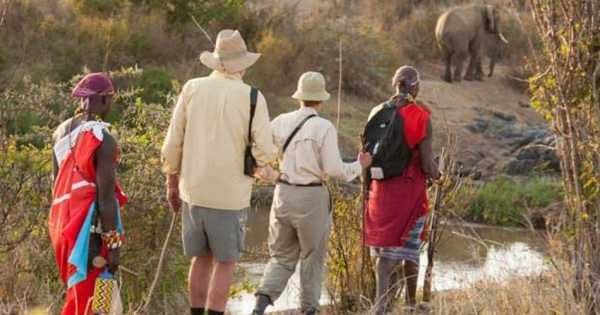 Kenya & Tanzania Safari Adventure - 11 Days - Photo 1