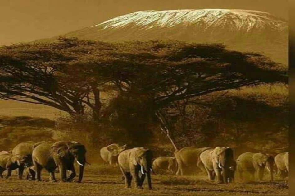 Mount Kilimanjaro Machame Route - Photo 6