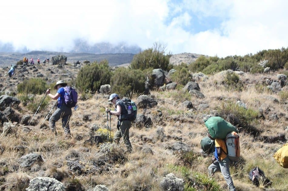 Mount Kilimanjaro Machame Route - Photo 3