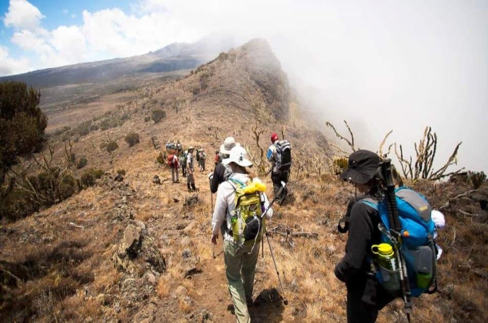 Mount Meru Trek 5 Days - Photo 4