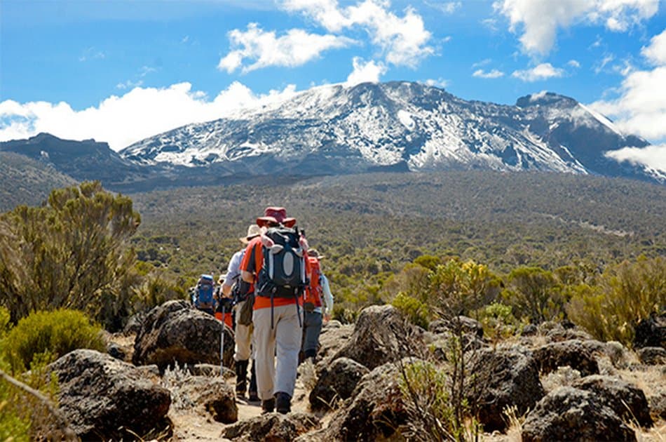 Mountain Kilimanjaro Group Day Hike via Marangu Route - Photo 5