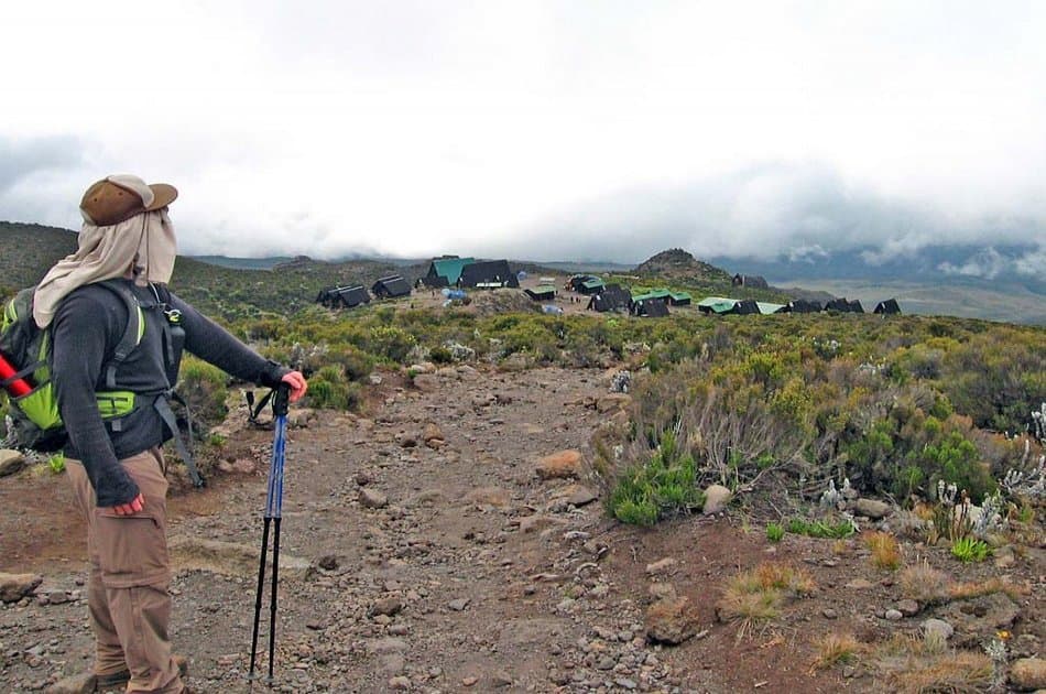 Mountain Kilimanjaro Group Day Hike via Marangu Route - Photo 3