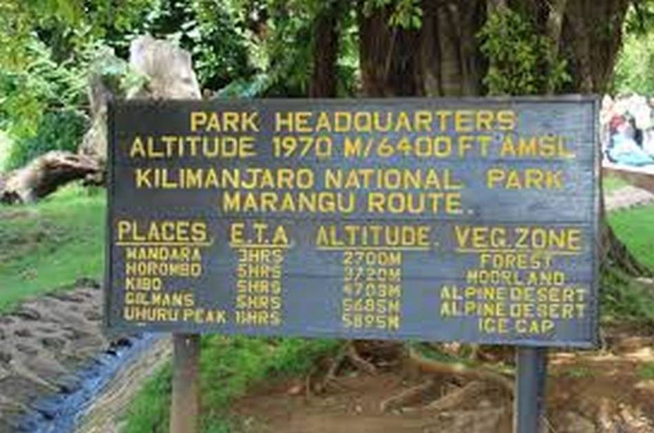 Mountain Kilimanjaro Group Day Hike via Marangu Route - Photo 2