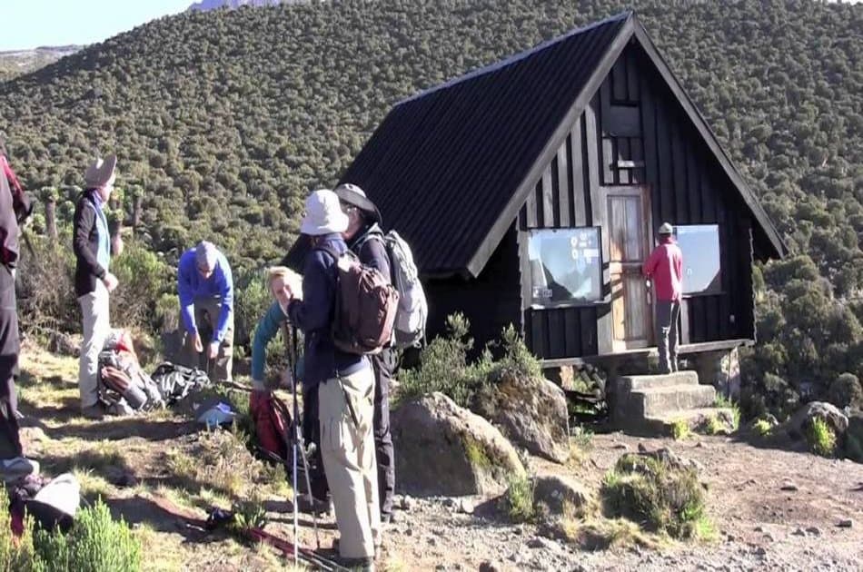 Mountain Kilimanjaro Group Day Hike via Marangu Route - Photo 6