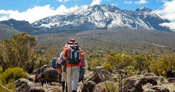 Mountain Kilimanjaro Group Day Hike via Marangu Route - Photo 1