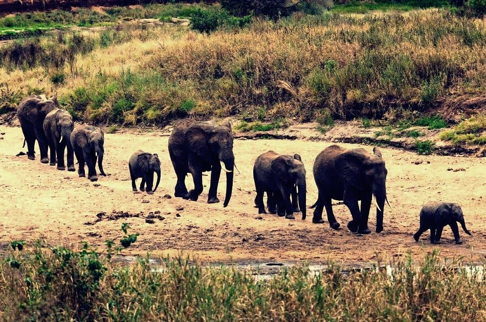 One Day Private Safari to Arusha National Park - Photo 6