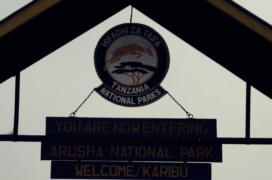 One Day Private Safari to Arusha National Park - Photo 11
