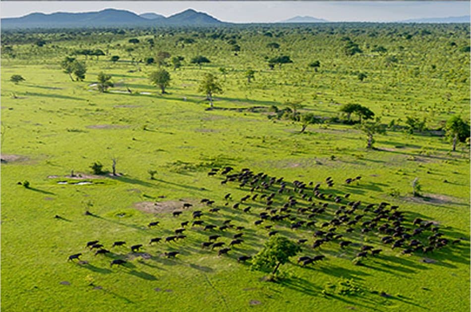 Two Days Selous Game Reserve Safari from Stone Town - Photo 6