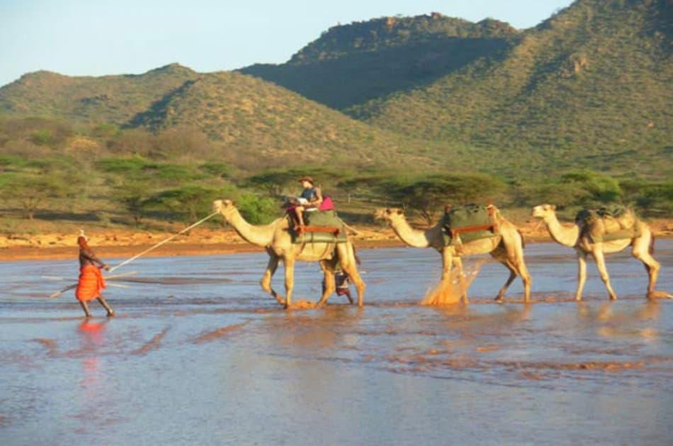 Walking in the Footsteps of Early Man - 10 Days - Photo 9