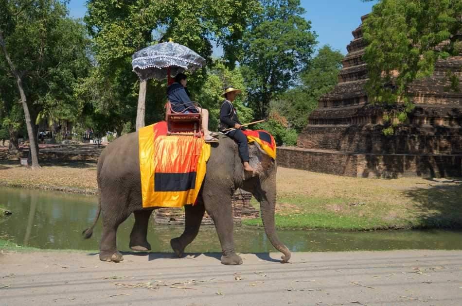 All In One Day Ayutthaya Tour with Private Car From Bangkok - Photo 5