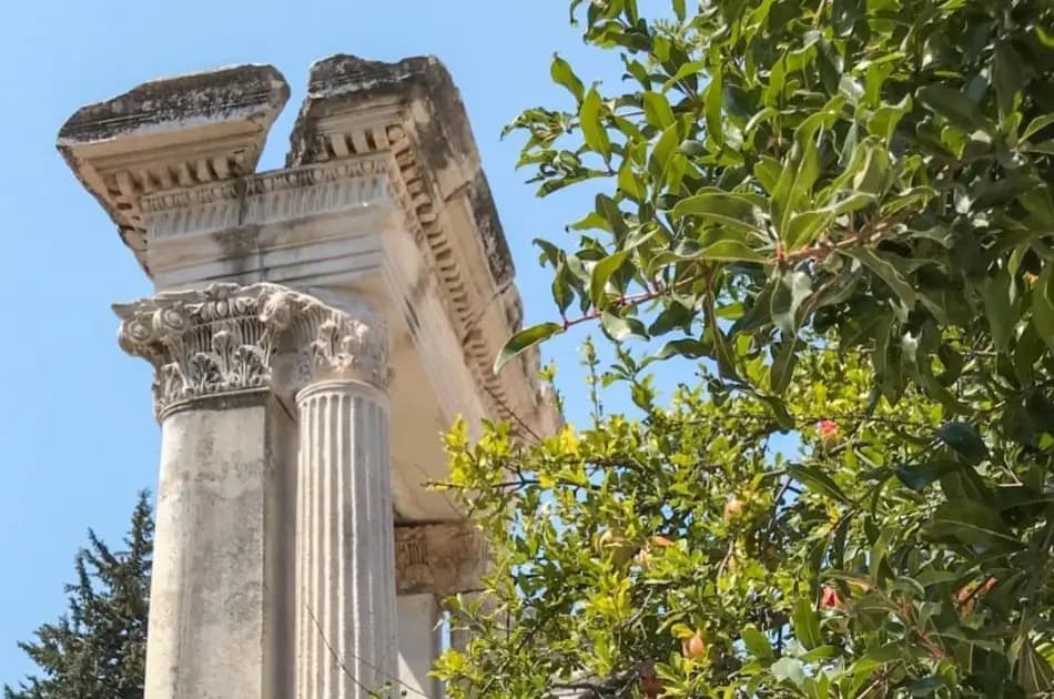 2 Day Private Ephesus & Pamukkale Tour From Istanbul - Photo 15