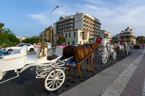 3-Day Mini Historic Aegean Tour From Izmir: Kusadasi, Ephesus And Pamukkale - Photo 18